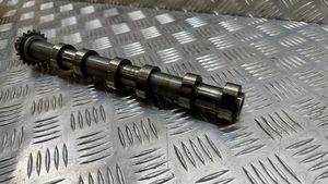 Jaguar XJ X351 Camshaft 4R8Q6A271AB