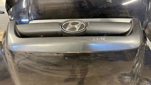 Hyundai Santa Fe Engine bonnet/hood 