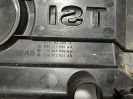 Volkswagen PASSAT B7 Moottorin koppa 03C103925CE