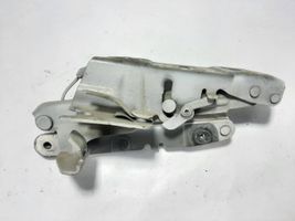 Opel Insignia B Cerniere del vano motore/cofano 39126609