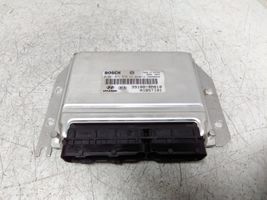 KIA Sorento Sterownik / Moduł ECU 391004A810