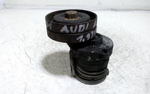 Audi A4 S4 B6 8E 8H Натяжитель ремня генератора 038903315