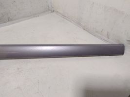 Volkswagen PASSAT B8 Rivestimento del pannello 3G2853053