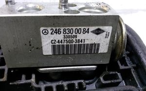 Mercedes-Benz CLA C117 X117 W117 Oro kondicionieriaus radiatorius (salone) 2468300084