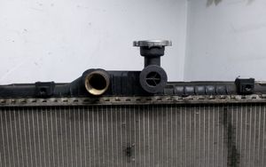 Renault Koleos I Radiateur de refroidissement 16575000R004