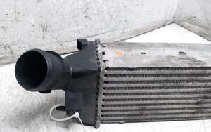 Peugeot 407 Radiatore intercooler 874823NE