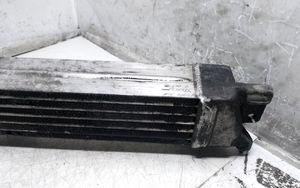 Opel Sintra Chłodnica powietrza doładowującego / Intercooler 4865540002