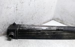 Opel Sintra Intercooler radiator 4865540002