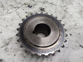 Hyundai Santa Fe Crankshaft gear 