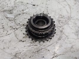 Hyundai Santa Fe Crankshaft gear 