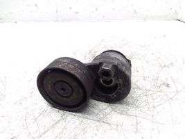 Opel Vivaro Alternator belt tensioner 1905716220002