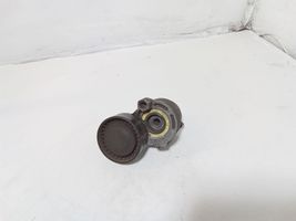 Nissan Qashqai+2 Napinacz paska alternatora 117503662R