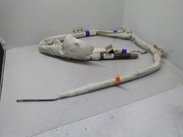 Volkswagen Tiguan Airbag da tetto 5N0880742D