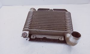 Toyota Yaris Chłodnica powietrza doładowującego / Intercooler 33010359