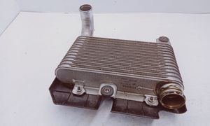 Toyota Yaris Chłodnica powietrza doładowującego / Intercooler 33010359