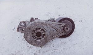 Volkswagen Touran I Napinacz paska wielorowkowego / Alternatora 1023674