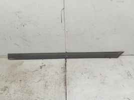 Mercedes-Benz Vito Viano W639 Loading door trim (molding) A6396901562