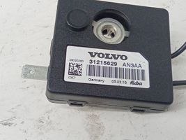 Volvo S80 Filtras antenos 31215629