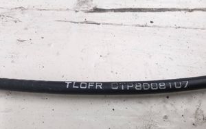 Honda Accord Tirette à câble, verouillage de porte avant CTP8D081D7