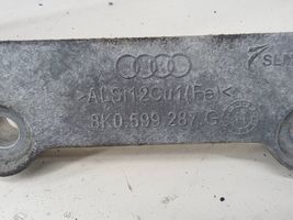 Audi Q5 SQ5 Galinio reduktoriaus kronšteinas 8K0599287G