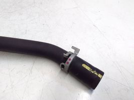 Toyota Prius (XW50) Engine coolant pipe/hose 