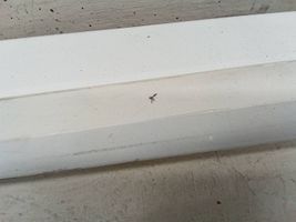 Toyota Prius (XW50) Sill 