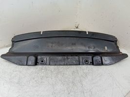 BMW 1 E82 E88 Radiatoru paneļa apakšējā daļa (televizora) 7128502