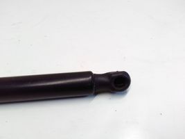 Volkswagen Sharan Tailgate/trunk strut/damper 7N0827550