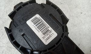 Renault Megane III Alarm system siren 30100187