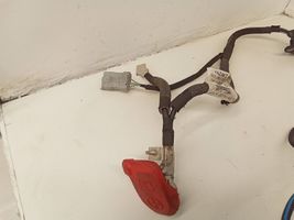 Citroen C4 II Picasso Cable positivo (batería) 9816948380