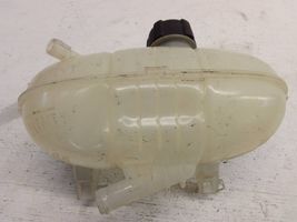 Opel Vivaro Coolant expansion tank/reservoir 217101893R