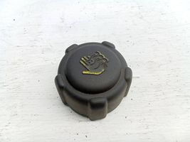 Renault Espace -  Grand espace IV Coolant expansion tank/reservoir cap 