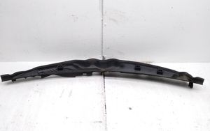 Mercedes-Benz C W204 Rivestimento del tergicristallo A2048301813