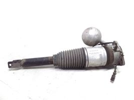 Volkswagen Phaeton Shock absorber/damper/air suspension 3D0616001K