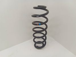 Volkswagen Tiguan Rear coil spring 