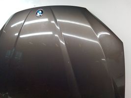 BMW X1 E84 Dangtis variklio (kapotas) 