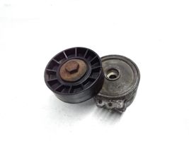 Citroen Berlingo Tendicinghia generatore/alternatore 