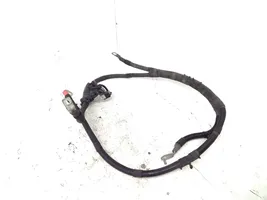 Ford Transit Custom Cables (motor de arranque) 