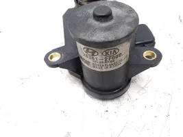 Hyundai Santa Fe Attuatore/motore della valvola del collettore di aspirazione 283812F000