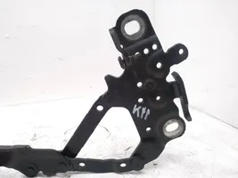 BMW 4 F32 F33 Cerniere del vano motore/cofano 7336699