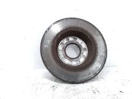 Volkswagen Tiguan Rear brake disc 