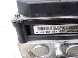 Audi A6 S6 C6 4F Pompe ABS 4F0910517AD