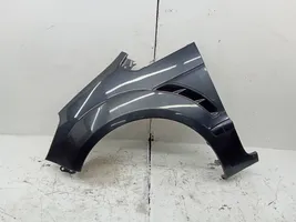 Ford S-MAX Fender 