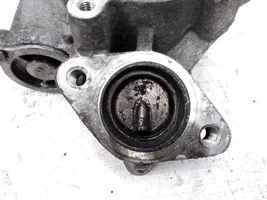 Renault Trafic II (X83) EGR valve 147100385R