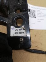 Citroen C4 I Boucle de ceinture de sécurité arrière D6001728