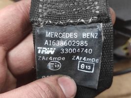 Mercedes-Benz ML W163 Saugos diržas priekinis 33006061G