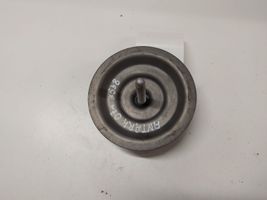 Opel Antara Spare wheel bolt 