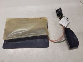 BMW X5 E53 Airbag sedile 1156949