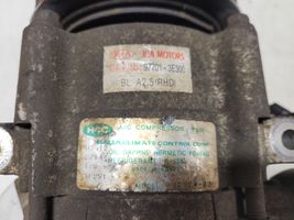 KIA Sorento Compressore aria condizionata (A/C) (pompa) 977013E300