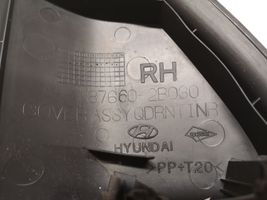 Hyundai Santa Fe Kita priekinių durų apdailos detalė 876602B030